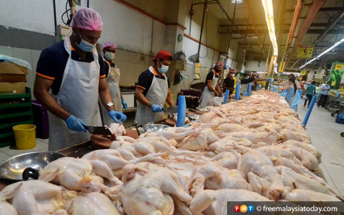 Poultry workers job prisons chickens slaughterhouse accountability fears lawsuit hazards trimming